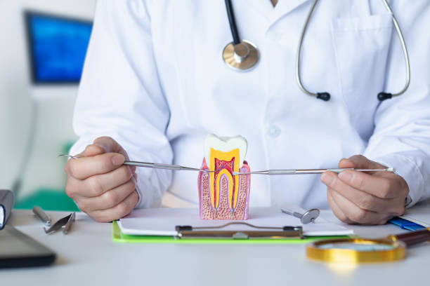 Best Dentist for Tooth Abscess  in , SD